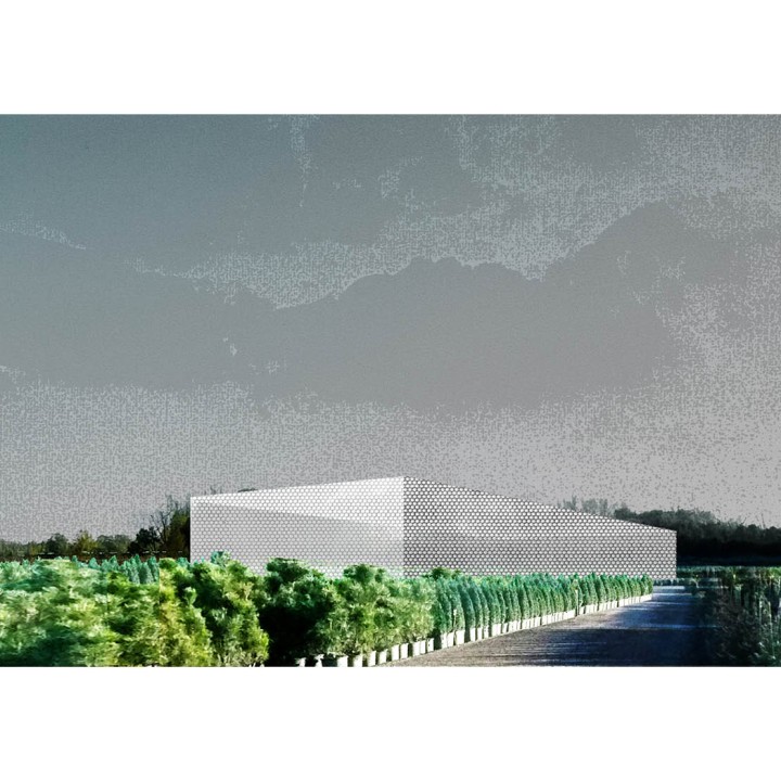 117 Collages24