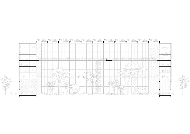 243 section
