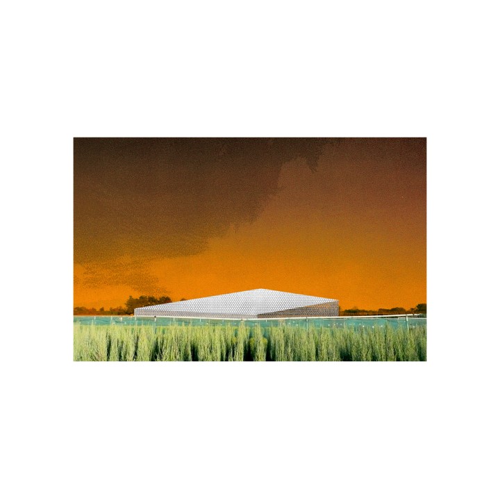 117 collage2