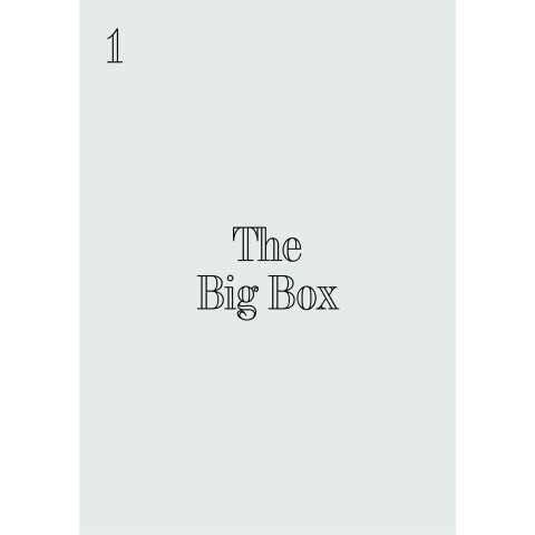 1 The Big Box Index 