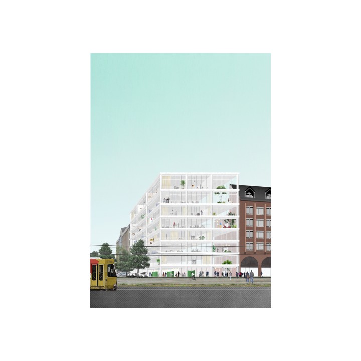 295 collage