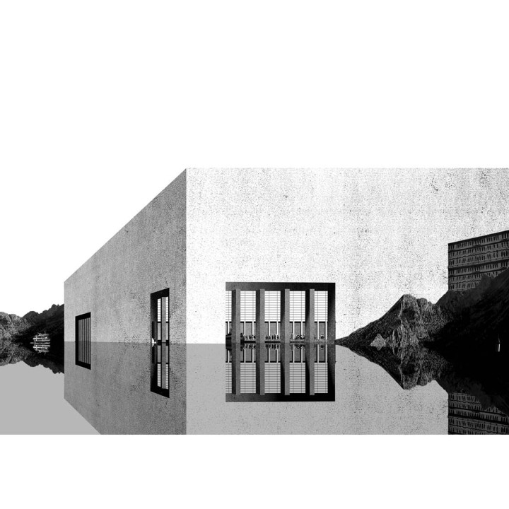035 Collages7